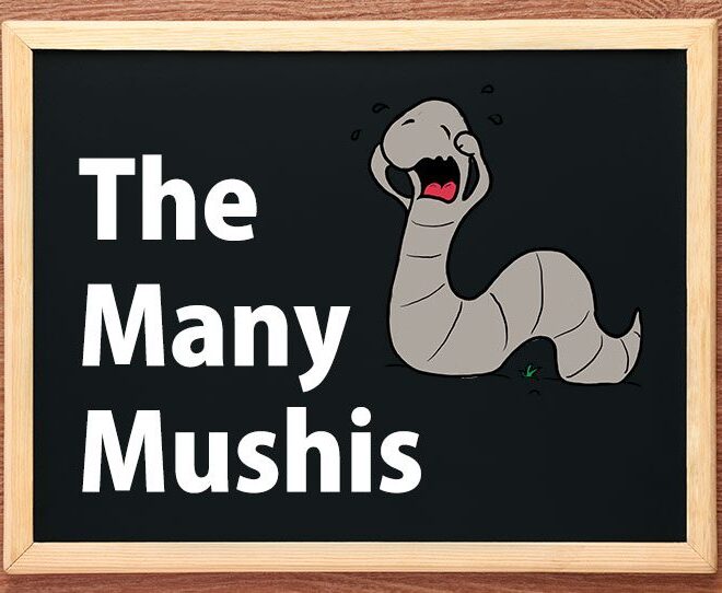 What Does Mushi Mean In Japanese