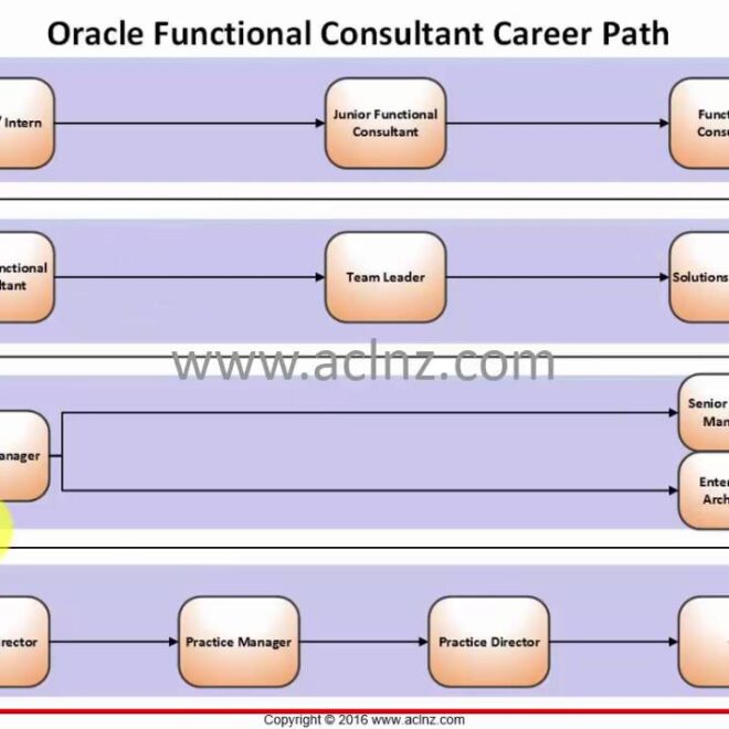 What Does Functional Expert Mean