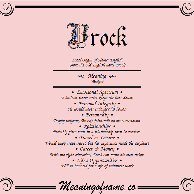 What Does The Name Brock Mean