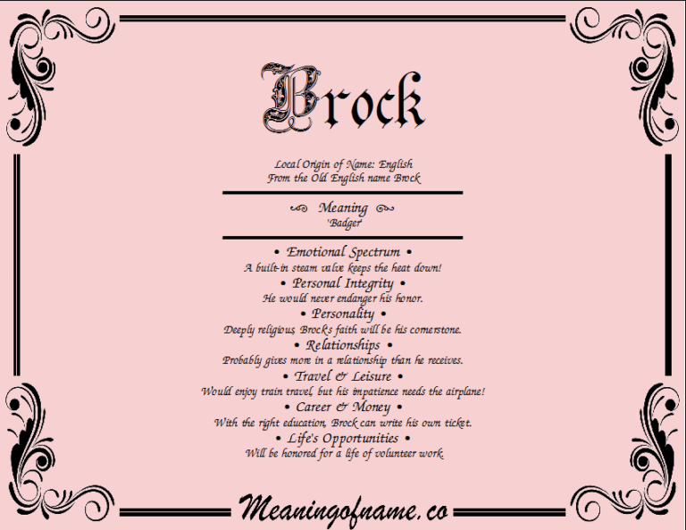 What Does The Name Brock Mean