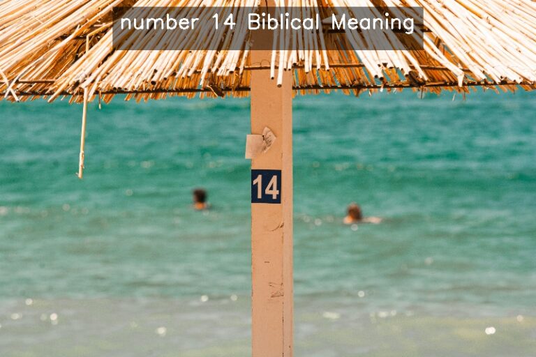 What Is The Biblical Meaning Of The Number 14