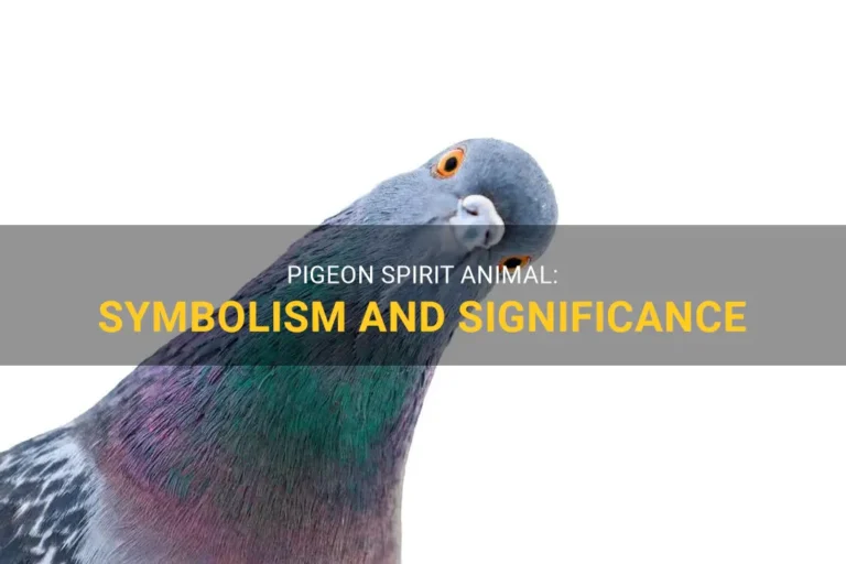 What Does A Pigeon Spirit Animal Mean