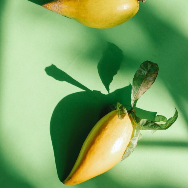 What Does Test Pdg Mean