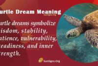 What Do Turtles Mean In Dreams