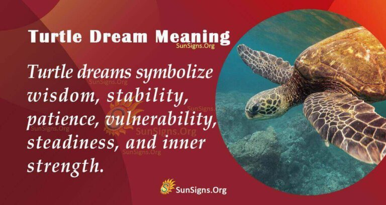 What Do Turtles Mean In Dreams