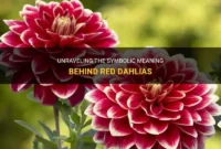 What Do Dahlias Mean