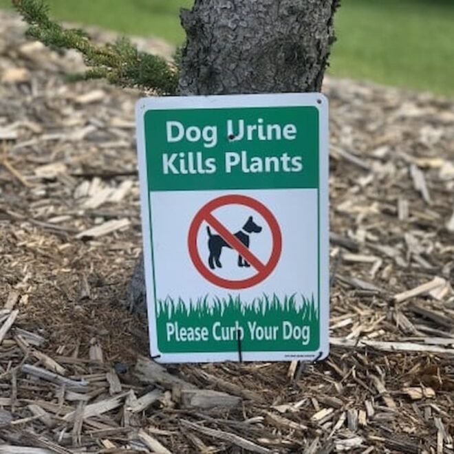 What Does Curb Your Dog Mean