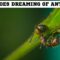 What Does Dreaming Of Ants Mean