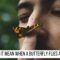 What Does It Mean When A Butterfly Flies Around You
