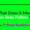 What Does It Mean When Bees Follow You
