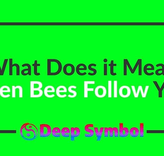 What Does It Mean When Bees Follow You