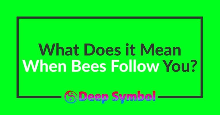 What Does It Mean When Bees Follow You