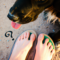 What Does It Mean When Dogs Lick Your Feet