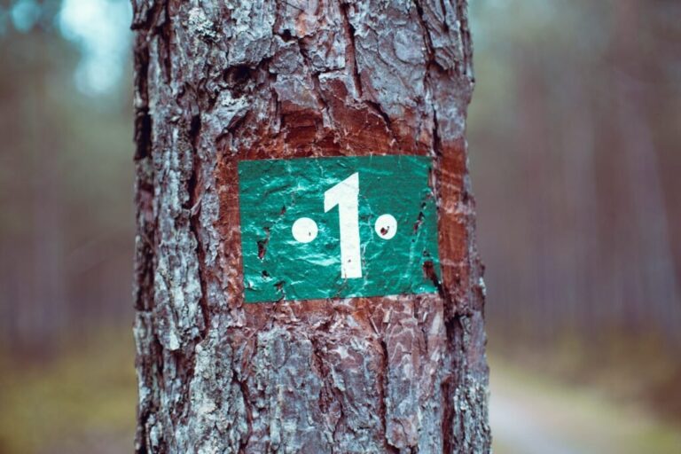 What Does 1 Mean In The Bible