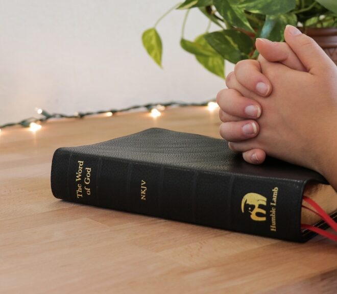 What Does Snare Mean In The Bible