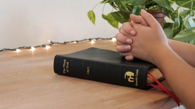 What Does Snare Mean In The Bible