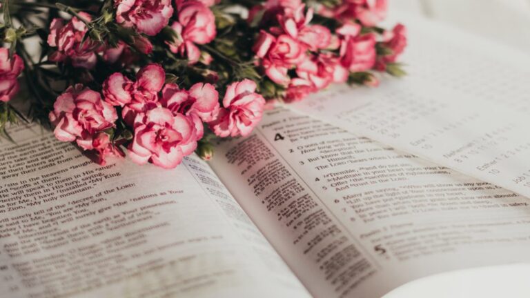 What Does Pruning Mean In The Bible