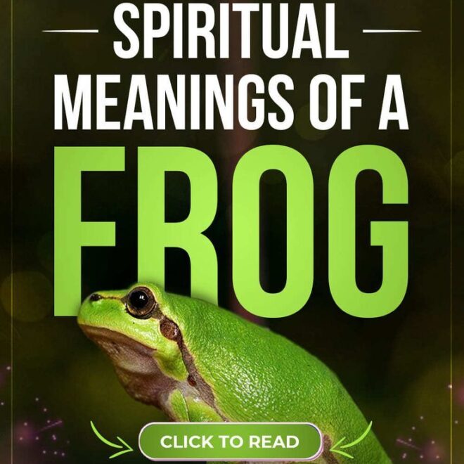 What Does Seeing A Frog Mean