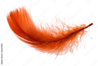 What Does A Red Feather Mean