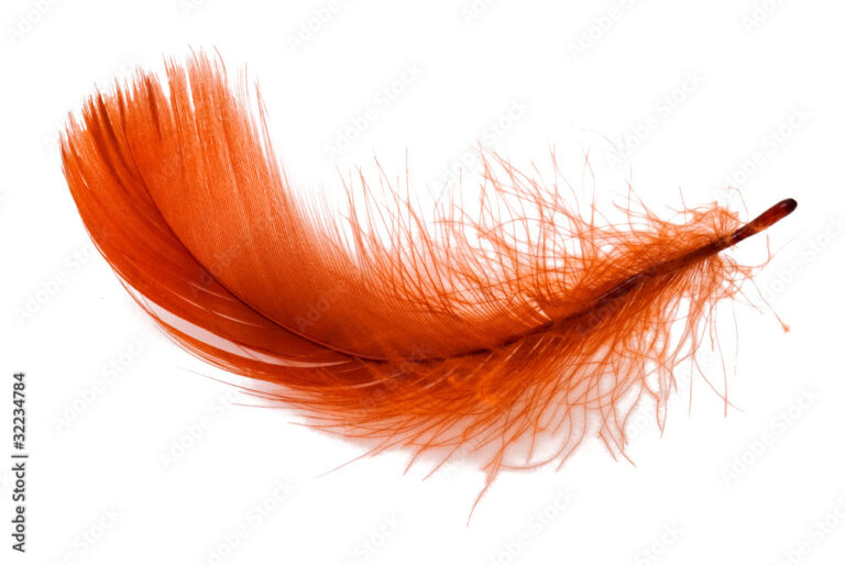 What Does A Red Feather Mean
