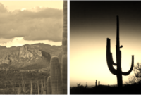 What It Means To Say Phoenix Arizona