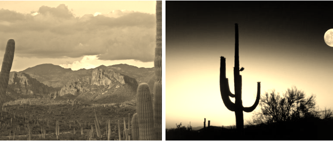 What It Means To Say Phoenix Arizona