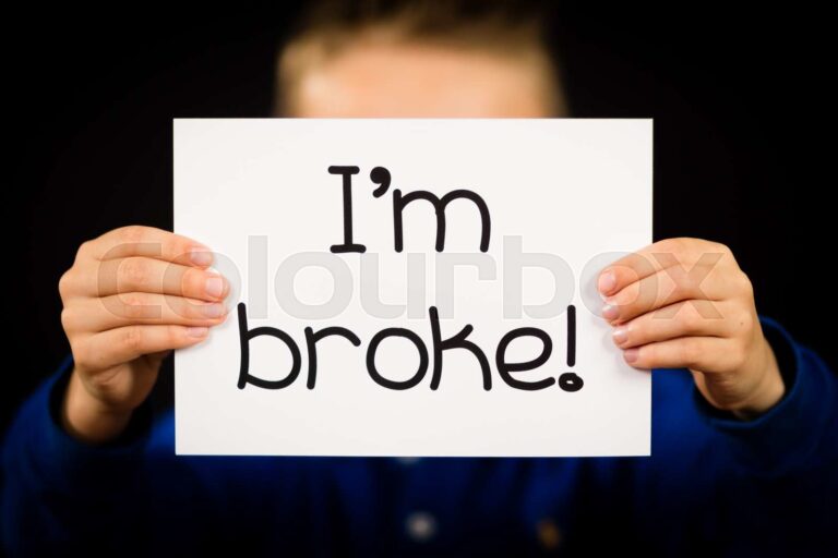 What Does Halter Broke Mean