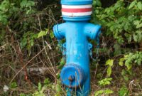 What Does A Blue Fire Hydrant Mean