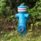 What Does A Blue Fire Hydrant Mean