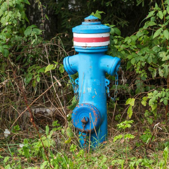 What Does A Blue Fire Hydrant Mean