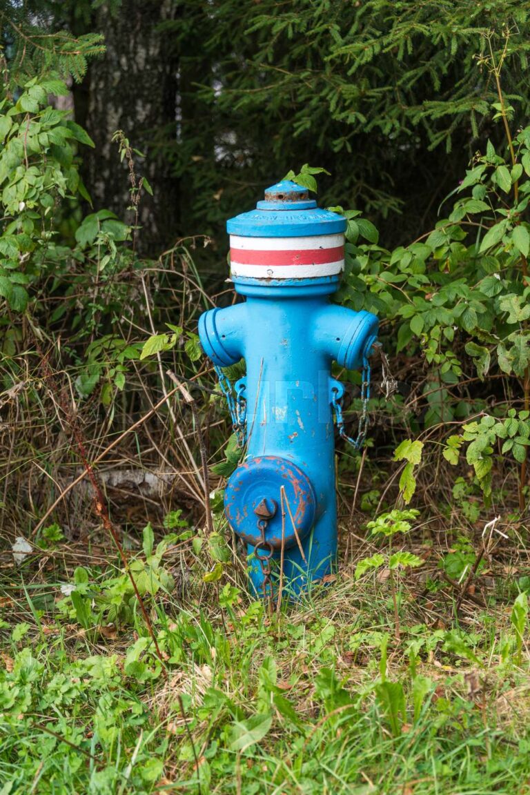 What Does A Blue Fire Hydrant Mean
