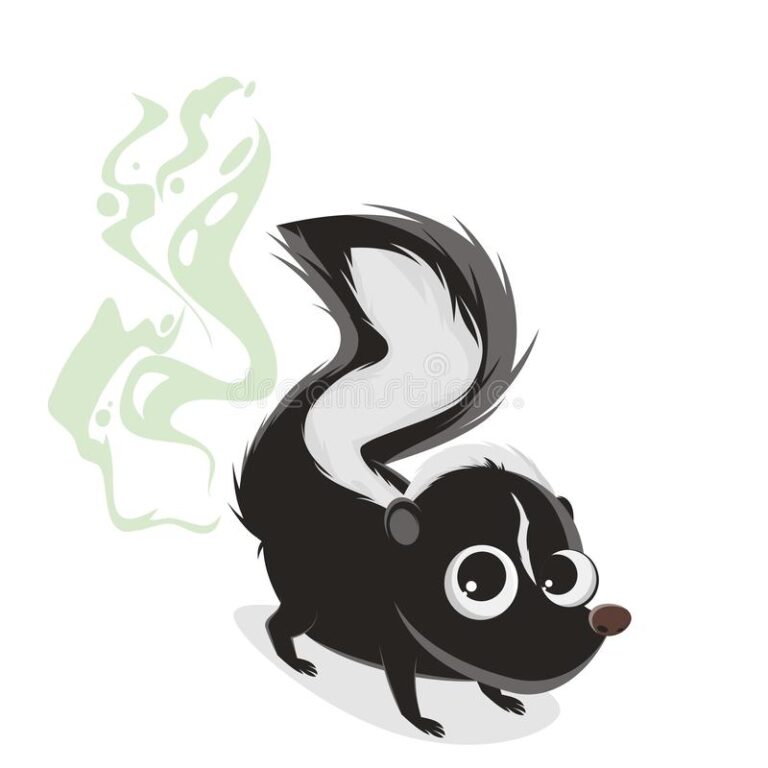 What Does It Mean To Dream About A Skunk