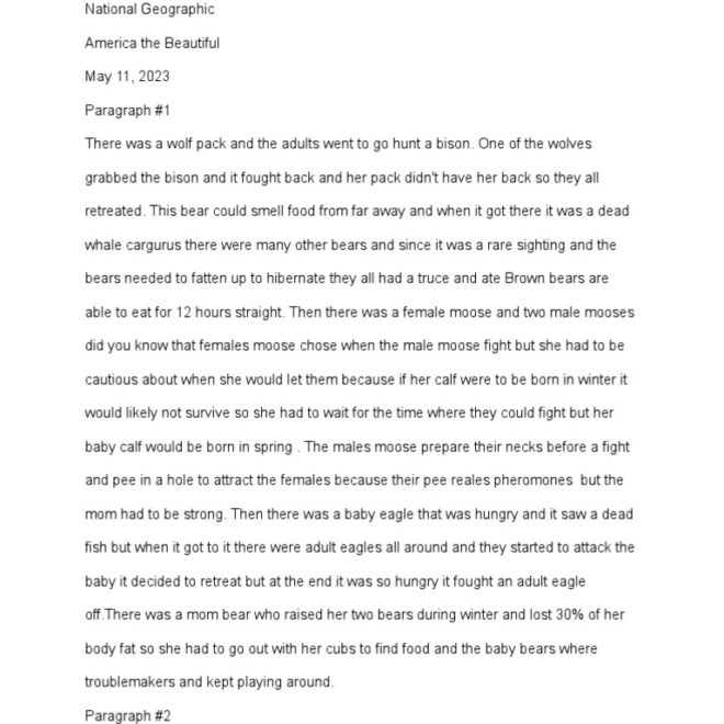 What Does America The Beautiful Mean To Me Essay