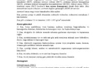 What Does Kan Mean In Hebrew