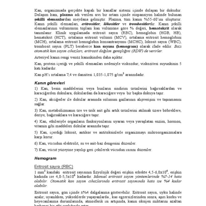 What Does Kan Mean In Hebrew