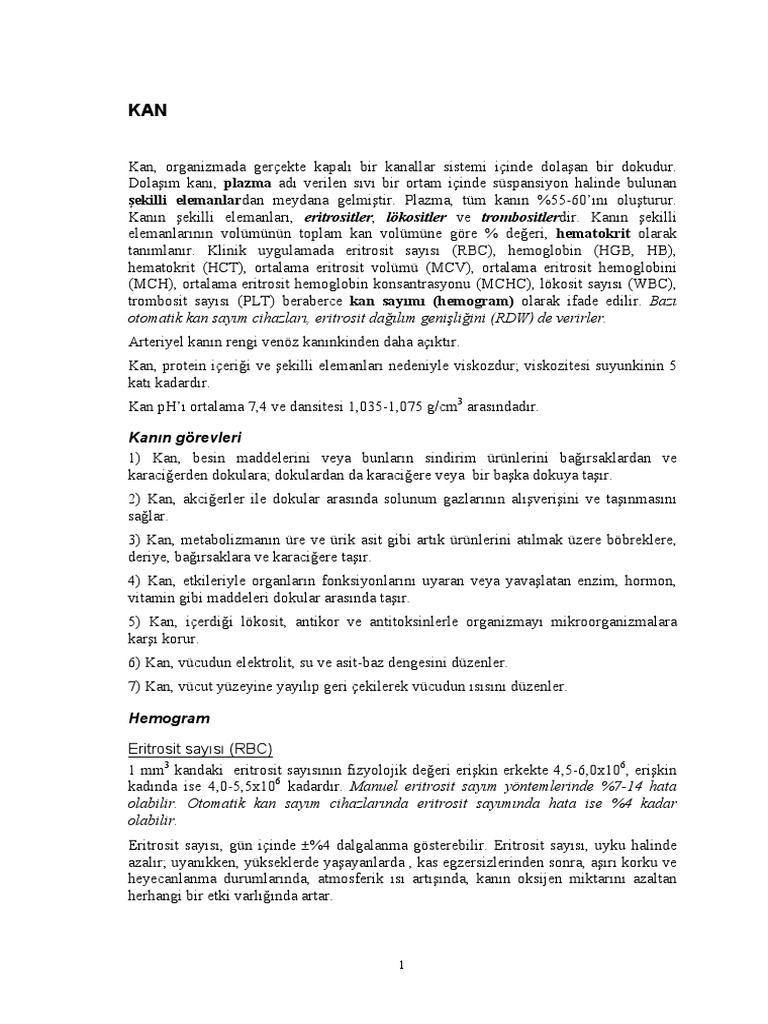 What Does Kan Mean In Hebrew