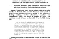 What Does Pendente Lite Mean