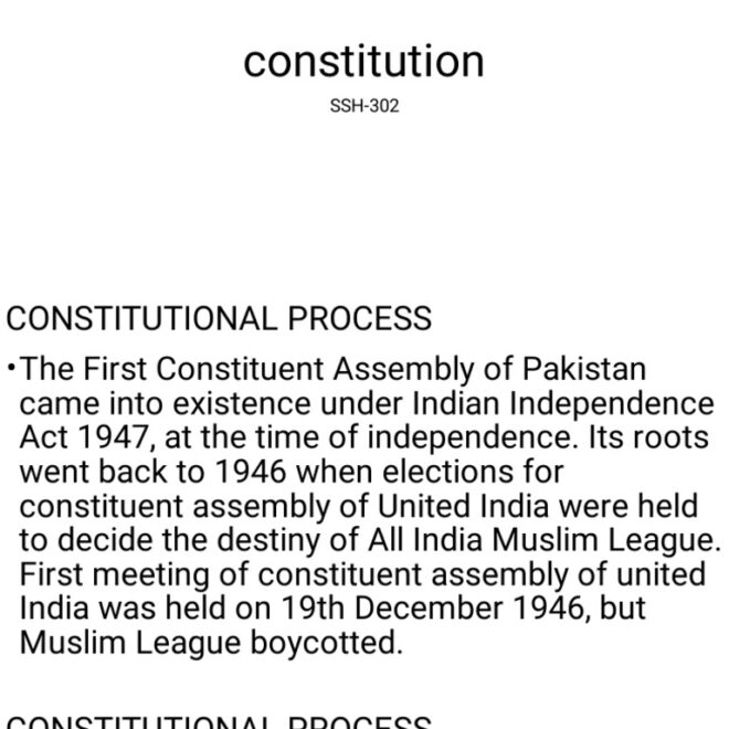 What The Constitution Means To Me Pdf