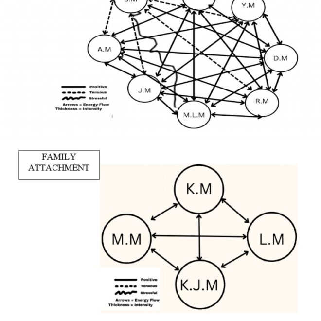 What Does Attached Family Home Mean