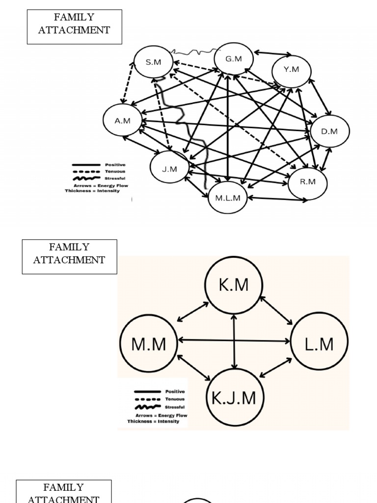 What Does Attached Family Home Mean
