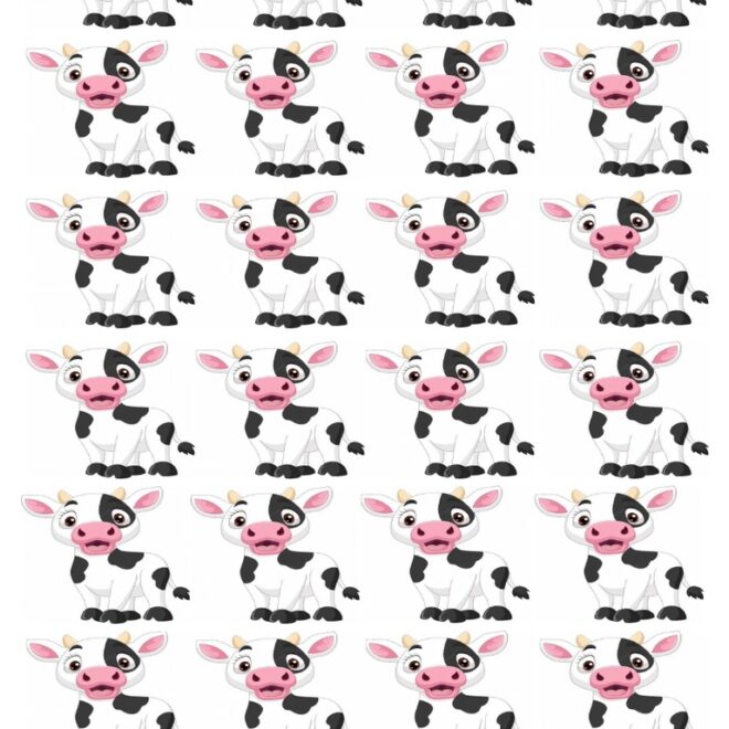 What Does Vaca Mean In Spanish