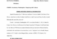 What Does Amended Charge Mean