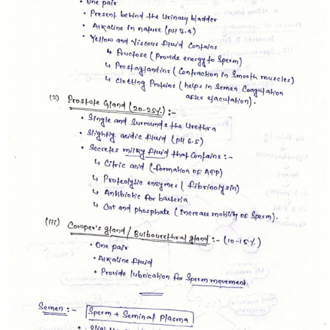 What Does Prostrate Mean In The Bible