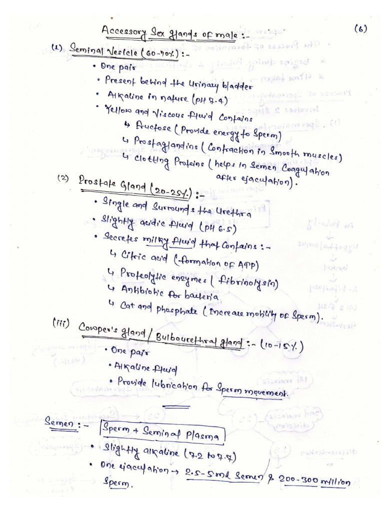 What Does Prostrate Mean In The Bible