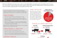 What Does Finished Beef Mean