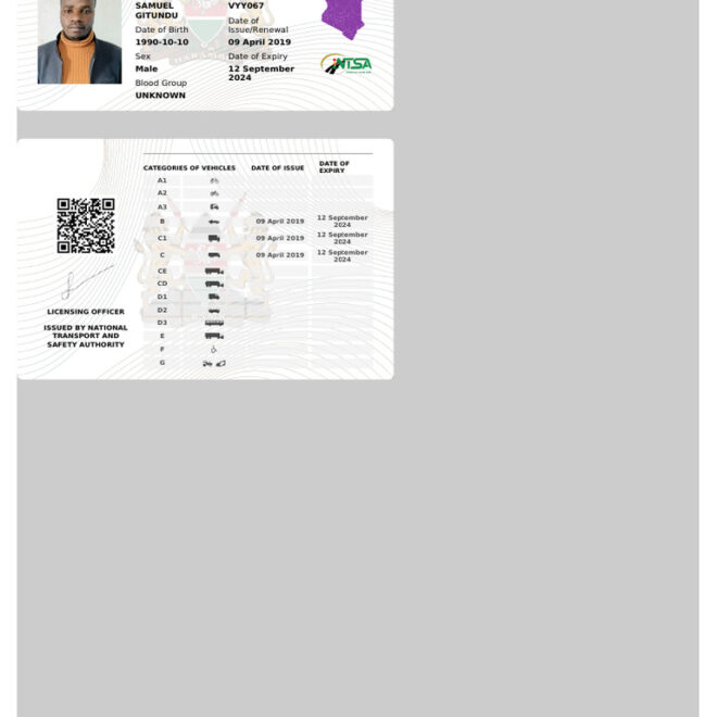 What Does Dlr On A License Plate Mean