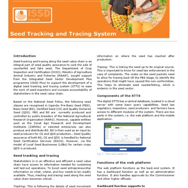 What Does Seed Mean In Track