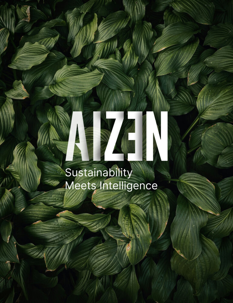 What Does Aizen Mean