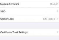 What Does No Sim Restriction Mean