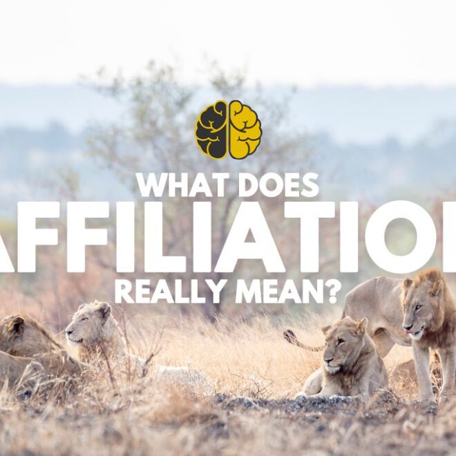 What Does Business Affiliation Mean